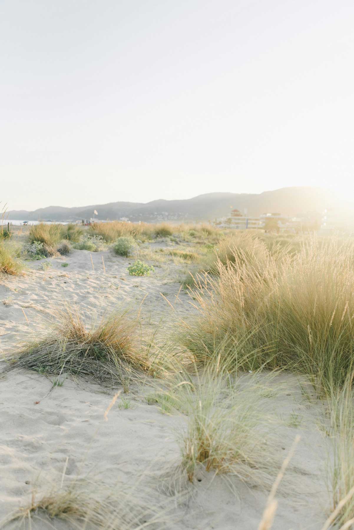 Beach grass at soft sunrise for Coast Nutrition Co who teaches you the Calm Eating Method